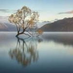 Homélie de Dom Godefroy pour le 27e Dimanche du Temps Ordinaire – Année C – (2 octobre 2022)