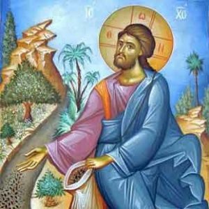 Homélie de Dom Godefroy pour le 15e Dimanche du Temps Ordinaire – Année A – (16 juillet 2023)