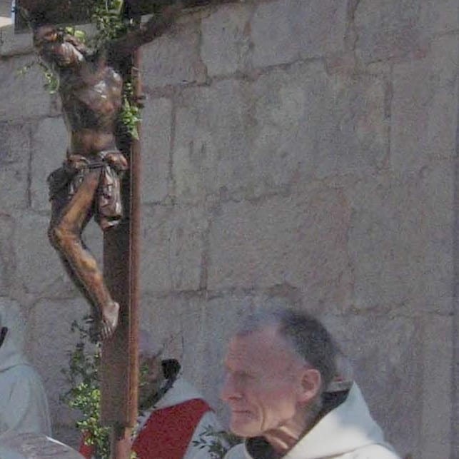 Homélie du 29/03/2026, dimanche des rameaux année A par père Raphaël