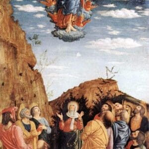 Homélie du jeudi 14/05/2026, Ascension du Seigneur par Père Raphaël